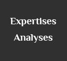 Analyses - Expertises